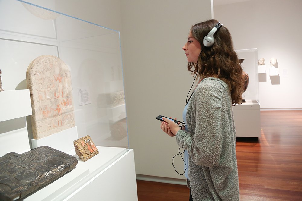 🏛️ 미야자키현 종합 박물관(미야자키켄 소고 하쿠부쓰칸) 이미지 5